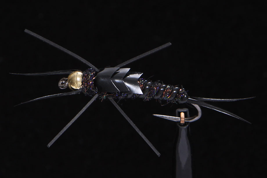 Stonefly black-1428
