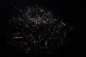 Creepy Crawley Ice Dub black