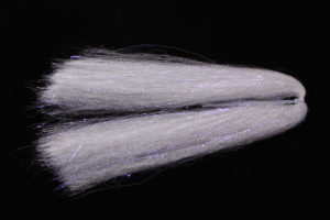 H2O Deadly Dazzle-2665