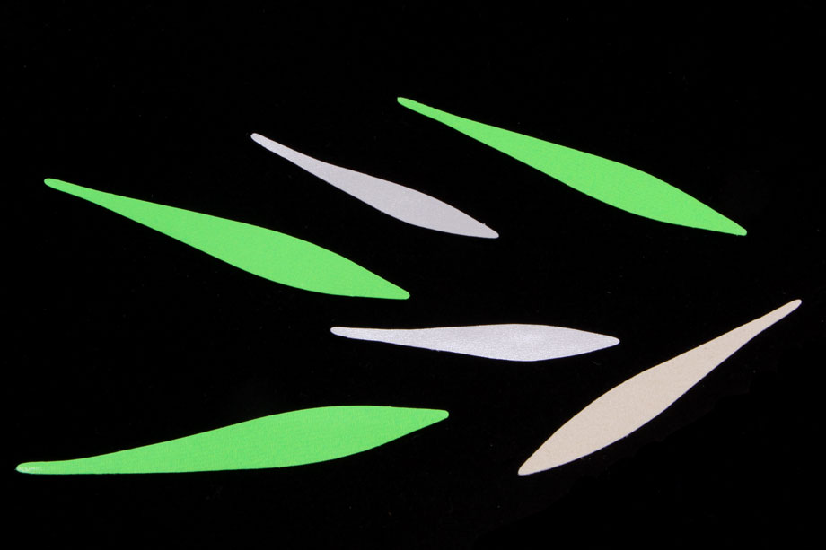 Pacchiarini Wave Tails
