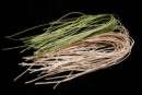 Linguini Foam