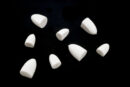 Foam Flat Face Popper Heads