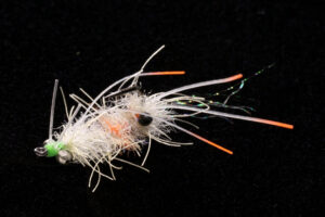 EP Ascension Bay Mantis ghost