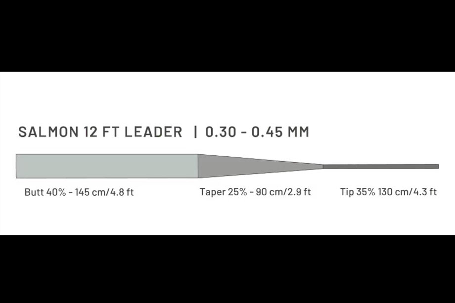 Guideline Salmon 12'